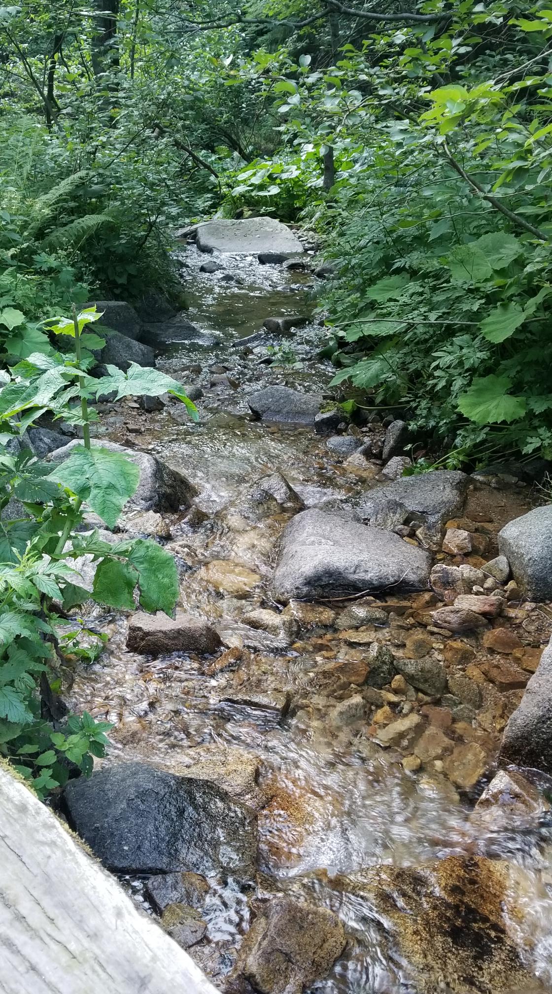 20230720_192517[9125]