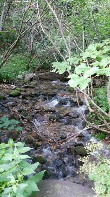 20230720_193103[9128]