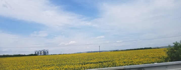 20230727_093321[9469]