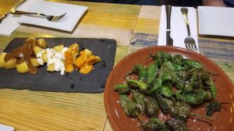 20231015_201530[11285]