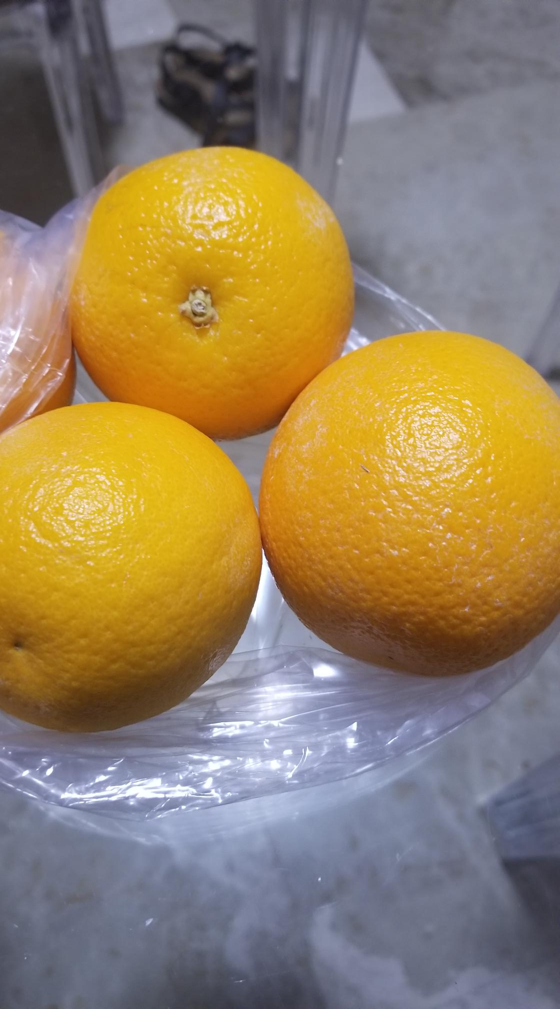 20231018_081036[11392]